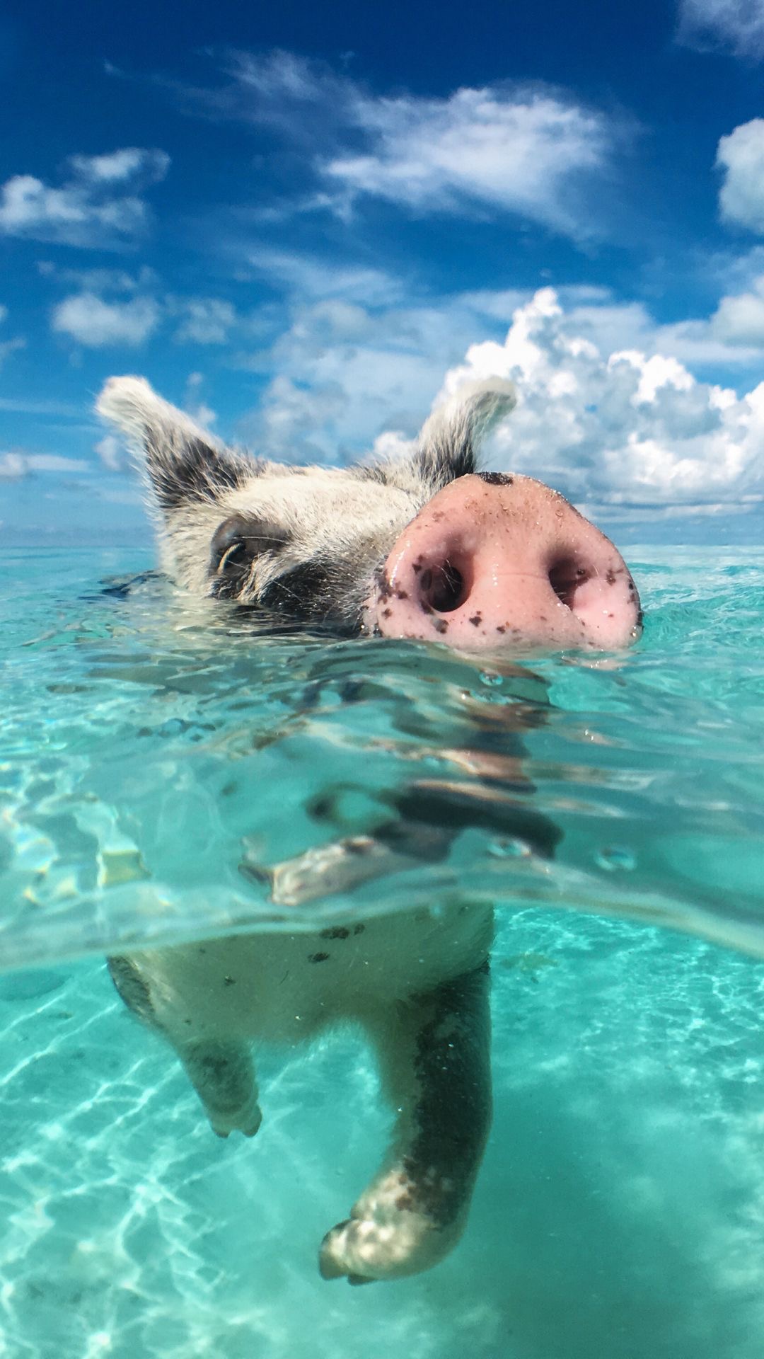 Miami to Bahamas Yacht Charter Routes & Itineraries